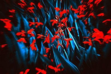 《全面战争：战锤3》新预告片 恶魔亲王大肆杀戮